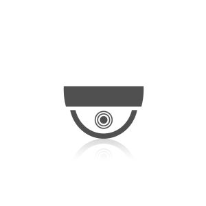 IP CAM
